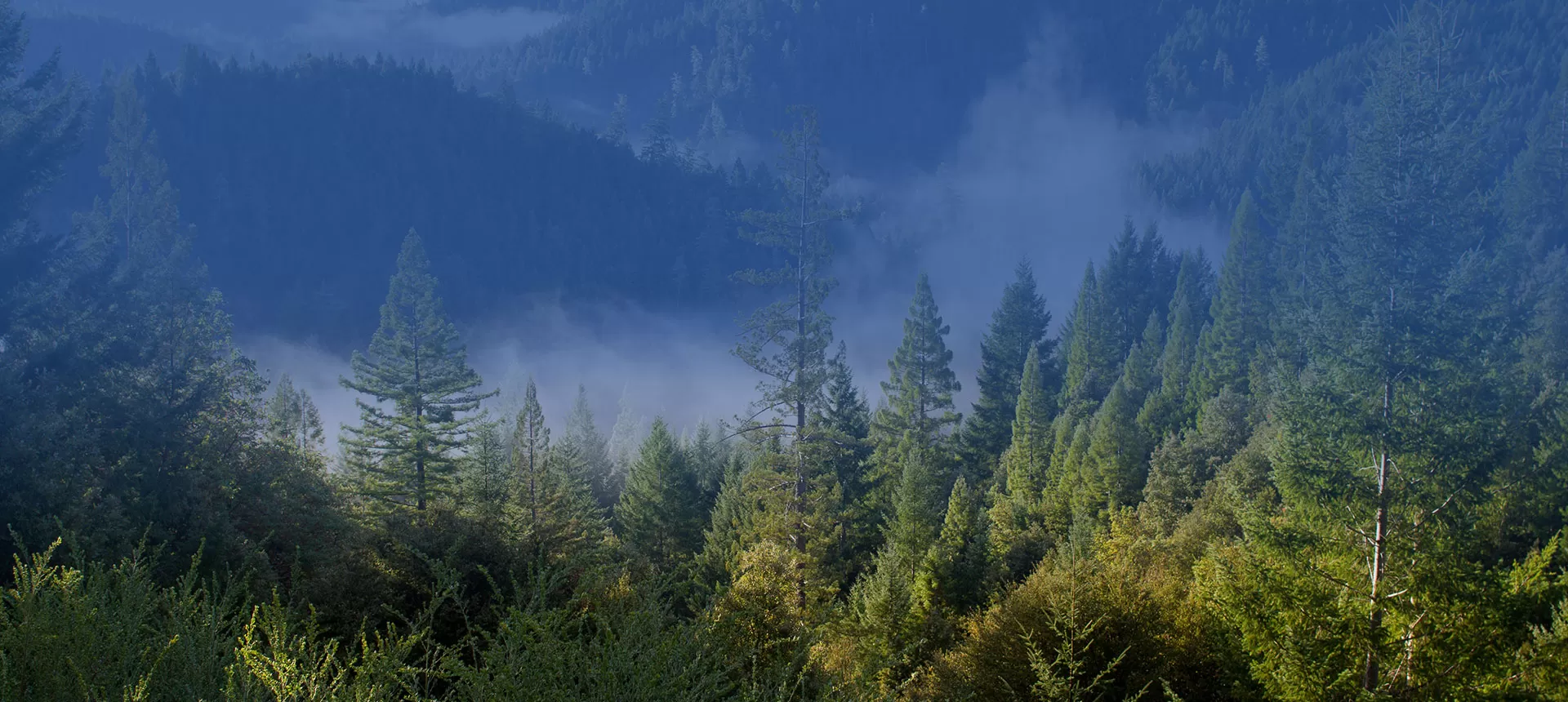 418kWh Liquid-cooled Battery Cabinet