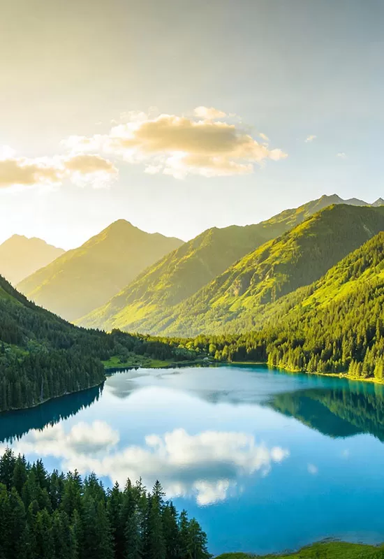 Why Choose OLiPower DC Battery Systems?