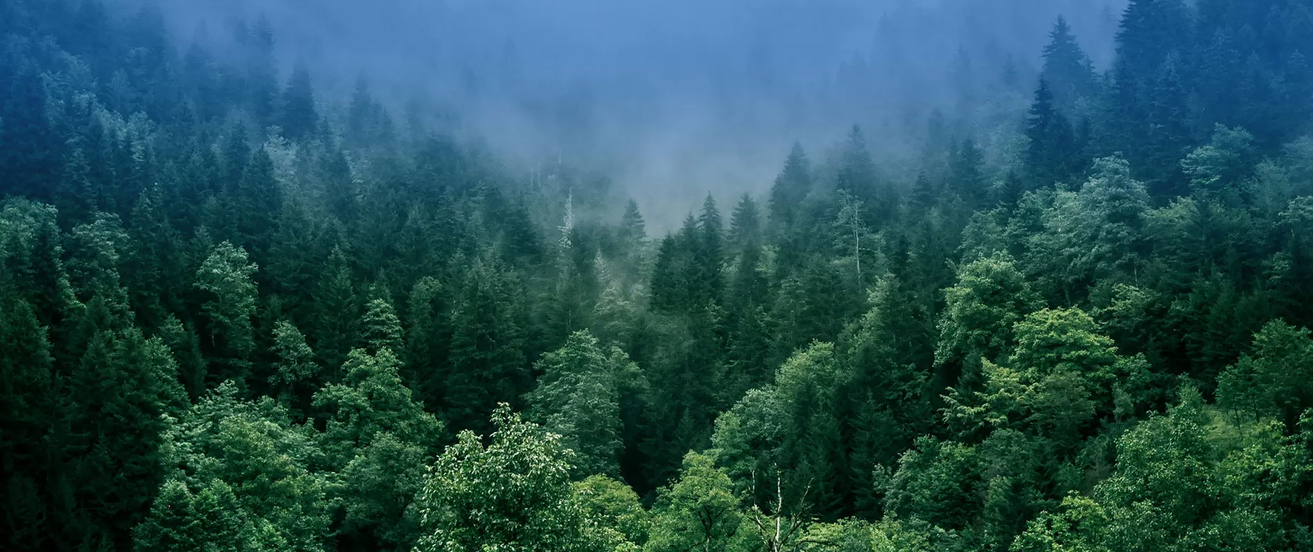 Why Choose Our BESS Solutions?